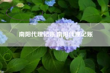 南阳代理记账,南阳代理记账