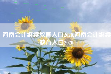 河南会计继续教育入口2020,河南会计继续教育入口2020