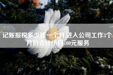 记账报税多少钱一个月,进入公司工作3个月的会计小白100元服务