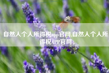 自然人个人所得税app官网,自然人个人所得税APP官网