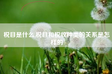 税目是什么,税目和税收种类的关系是怎样的