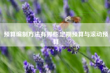 预算编制方法有哪些,定期预算与滚动预算