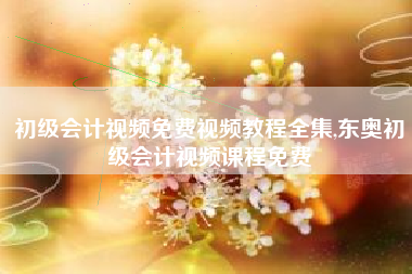 初级会计视频免费视频教程全集,东奥初级会计视频课程免费