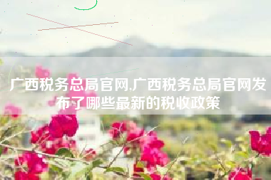 广西税务总局官网,广西税务总局官网发布了哪些最新的税收政策