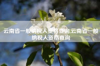 云南省一般纳税人资格查询,云南省一般纳税人资格查询