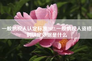 一般纳税人认定标准2022,一般纳税人资格的认定依据是什么