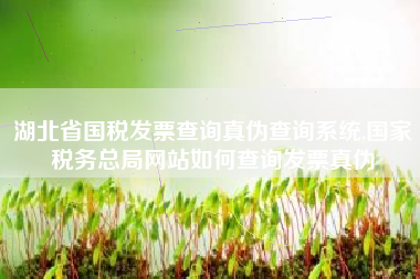 湖北省国税发票查询真伪查询系统,国家税务总局网站如何查询发票真伪