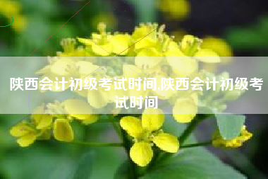 陕西会计初级考试时间,陕西会计初级考试时间