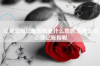 注册公司记账报税是什么意思,注册公司必须记账报税