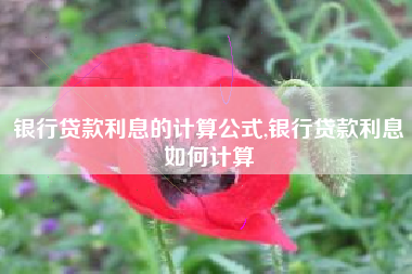 银行贷款利息的计算公式,银行贷款利息如何计算