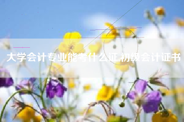 大学会计专业能考什么证,初级会计证书