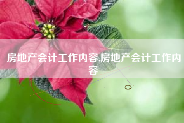 房地产会计工作内容,房地产会计工作内容
