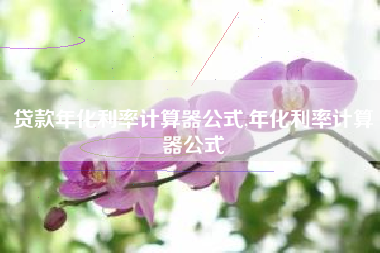贷款年化利率计算器公式,年化利率计算器公式