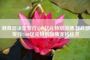 财政部决定发行7500亿元特别国债,财政部发行7500亿元特别国债支持经济