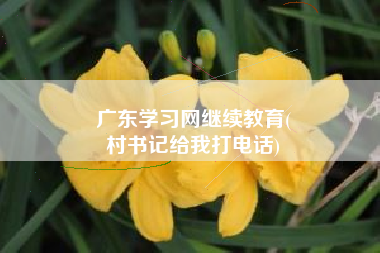 广东学习网继续教育(
村书记给我打电话)