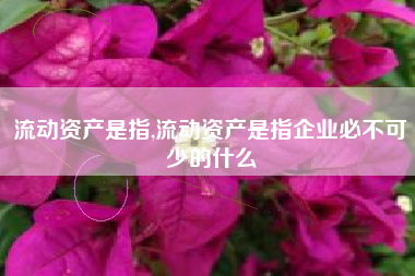 流动资产是指,流动资产是指企业必不可少的什么