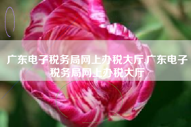 广东电子税务局网上办税大厅,广东电子税务局网上办税大厅
