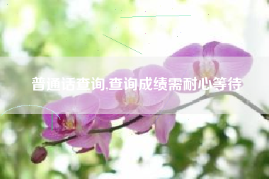 普通话查询,查询成绩需耐心等待