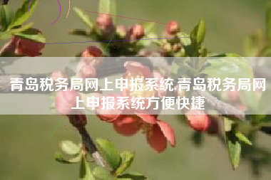 青岛税务局网上申报系统,青岛税务局网上申报系统方便快捷
