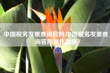 中国税务发票查询官网,中国税务发票查询官网操作简便