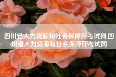 四川省人力资源和社会保障厅考试网,四川省人力资源和社会保障厅考试网