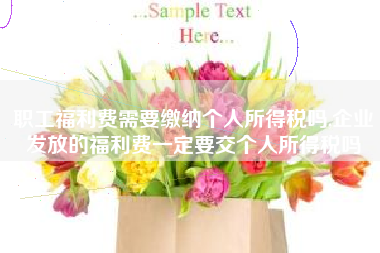 职工福利费需要缴纳个人所得税吗,企业发放的福利费一定要交个人所得税吗