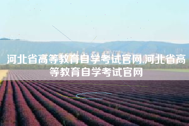 河北省高等教育自学考试官网,河北省高等教育自学考试官网