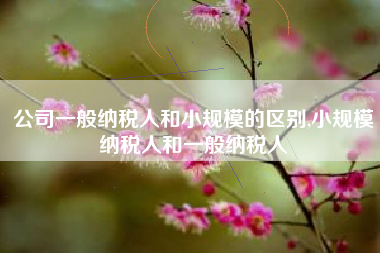 公司一般纳税人和小规模的区别,小规模纳税人和一般纳税人