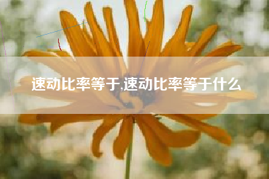 速动比率等于,速动比率等于什么