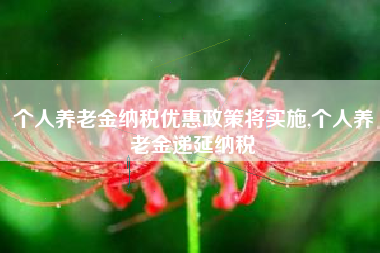 个人养老金纳税优惠政策将实施,个人养老金递延纳税