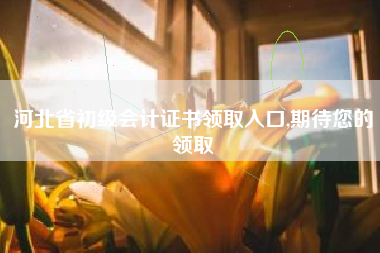 河北省初级会计证书领取入口,期待您的领取
