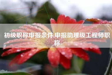初级职称申报条件,申报助理级工程师职称