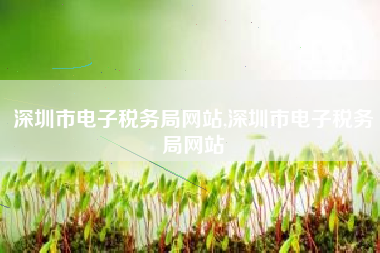深圳市电子税务局网站,深圳市电子税务局网站
