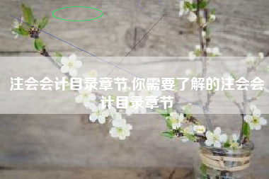 注会会计目录章节,你需要了解的注会会计目录章节
