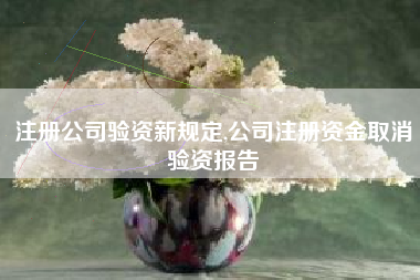 注册公司验资新规定,公司注册资金取消验资报告