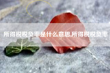所得税税负率是什么意思,所得税税负率