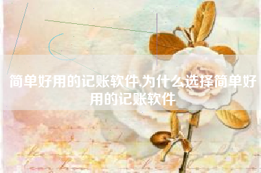 简单好用的记账软件,为什么选择简单好用的记账软件