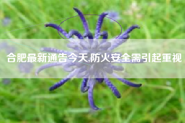 合肥最新通告今天,防火安全需引起重视