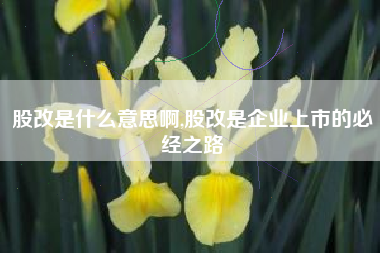 股改是什么意思啊,股改是企业上市的必经之路