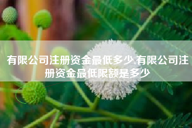 有限公司注册资金最低多少,有限公司注册资金最低限额是多少