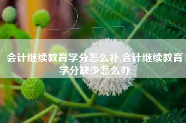 会计继续教育学分怎么补,会计继续教育学分缺少怎么办