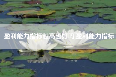 盈利能力指标越高越好吗,盈利能力指标