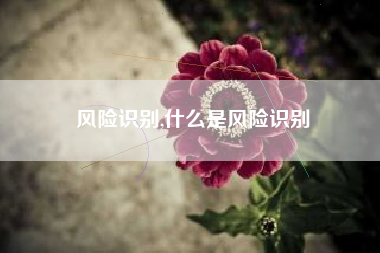 风险识别,什么是风险识别