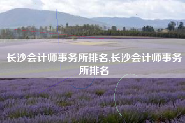 长沙会计师事务所排名,长沙会计师事务所排名