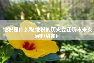 地税是什么税,地税的历史变迁及未来发展趋势如何