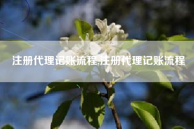 注册代理记账流程,注册代理记账流程
