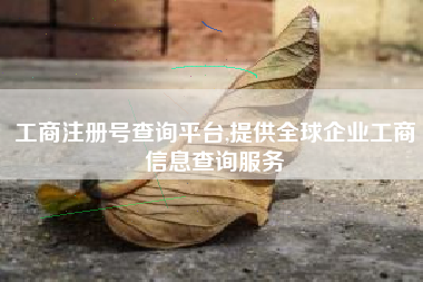 工商注册号查询平台,提供全球企业工商信息查询服务