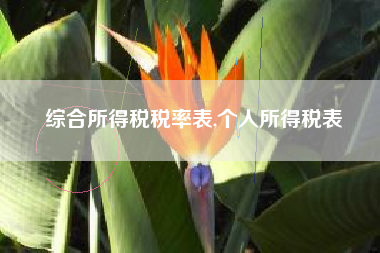 综合所得税税率表,个人所得税表