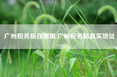 广州税务局在哪里,广州税务局真实地址