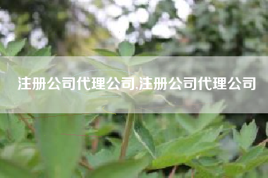 注册公司代理公司,注册公司代理公司